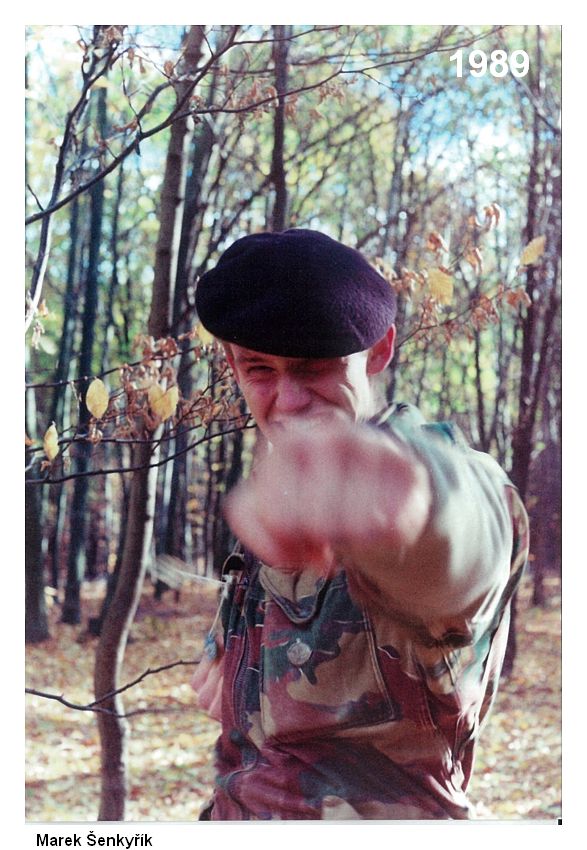 Vycházím však z prostého karate (1989).