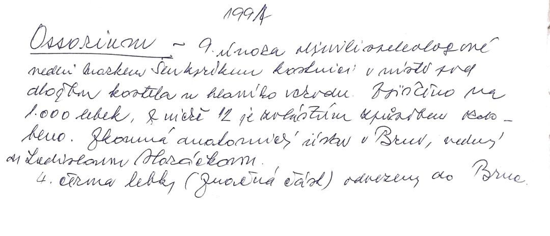 Zápis vlastní rukou pana děkana P. Tomáše Prnky ve farní kronice o objevu ossária s pomalovanými lebkami z roku 1991, v němž zmiňuje jméno autora tohoto webu.