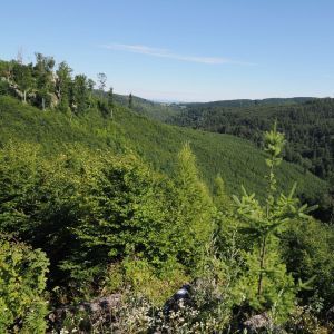 Křtinské údolí