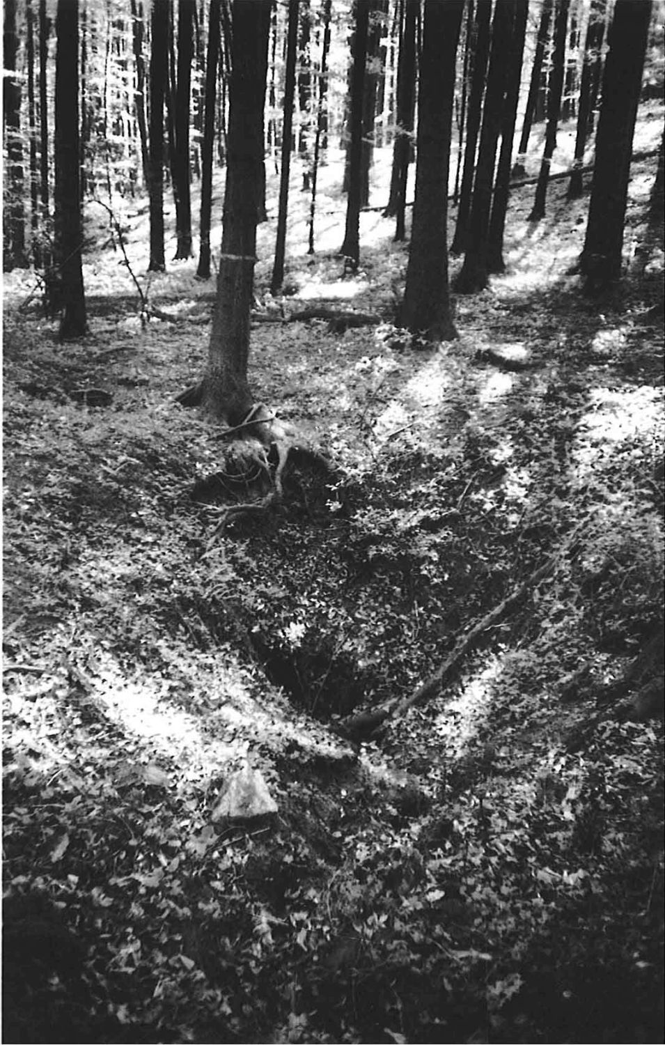 Původní stav závrtu Novodvorského ponoru před výzkumem. Foto Marek Šenkyřík 1989.