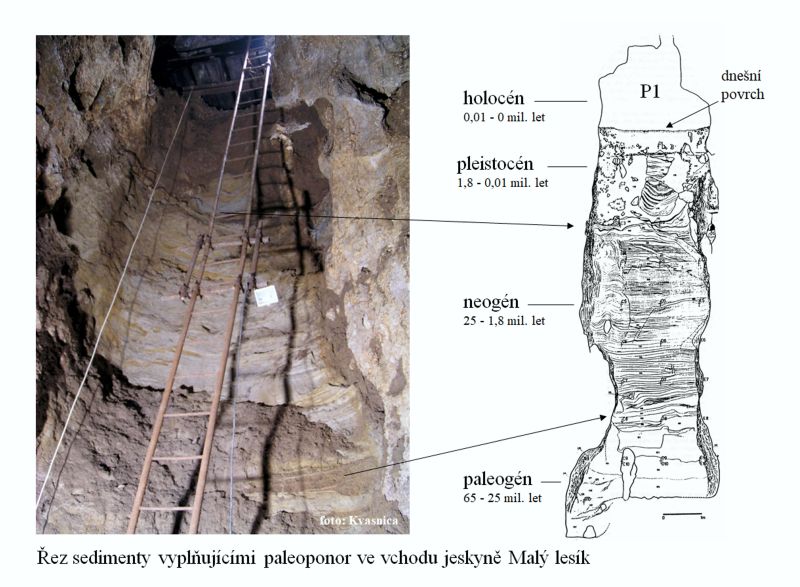 Řez sedimenty paleoponoru Malý lesík. Foto Radim Kvasnica, kresba: Petr Kos.