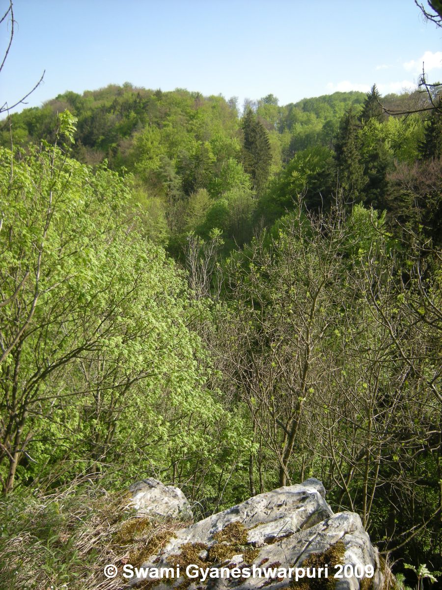 Takovou překrásnou vyhlídku do bujných lesů osamělého Křtinského údolí měl ze svého skalního útesu nad jeskyní Kostelík Herdotův poustevník v 17. století. Já jsem toto svaté velmi skryté a nepřístupné místo navštívil v roce 2009 a od té doby se mi nepodařilo znovu tam najít bezpečnou cestu.