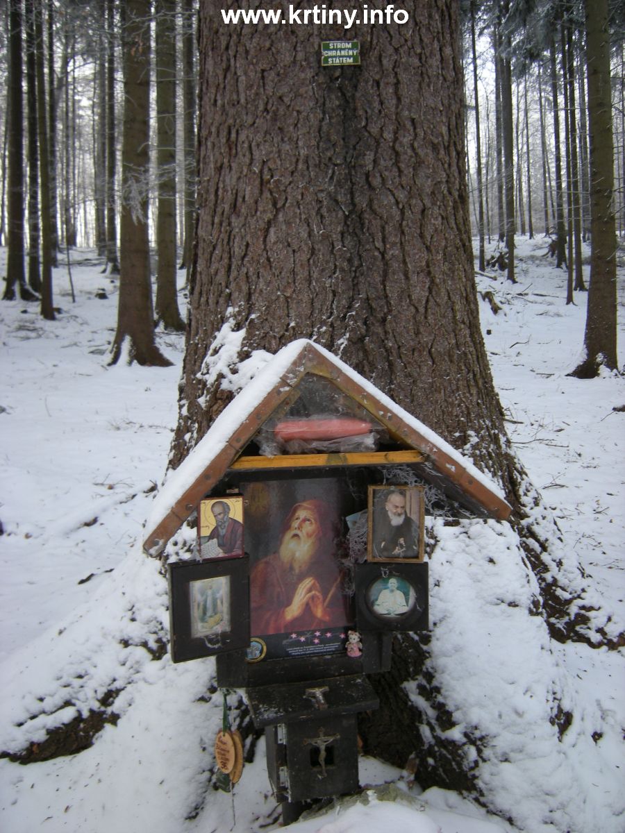 Můj lesní oltářík pod Habrůveckým smrkem zasvěcený sv. Františkovi z Pauly - poustevníkovi a dalším světcům (2009).
