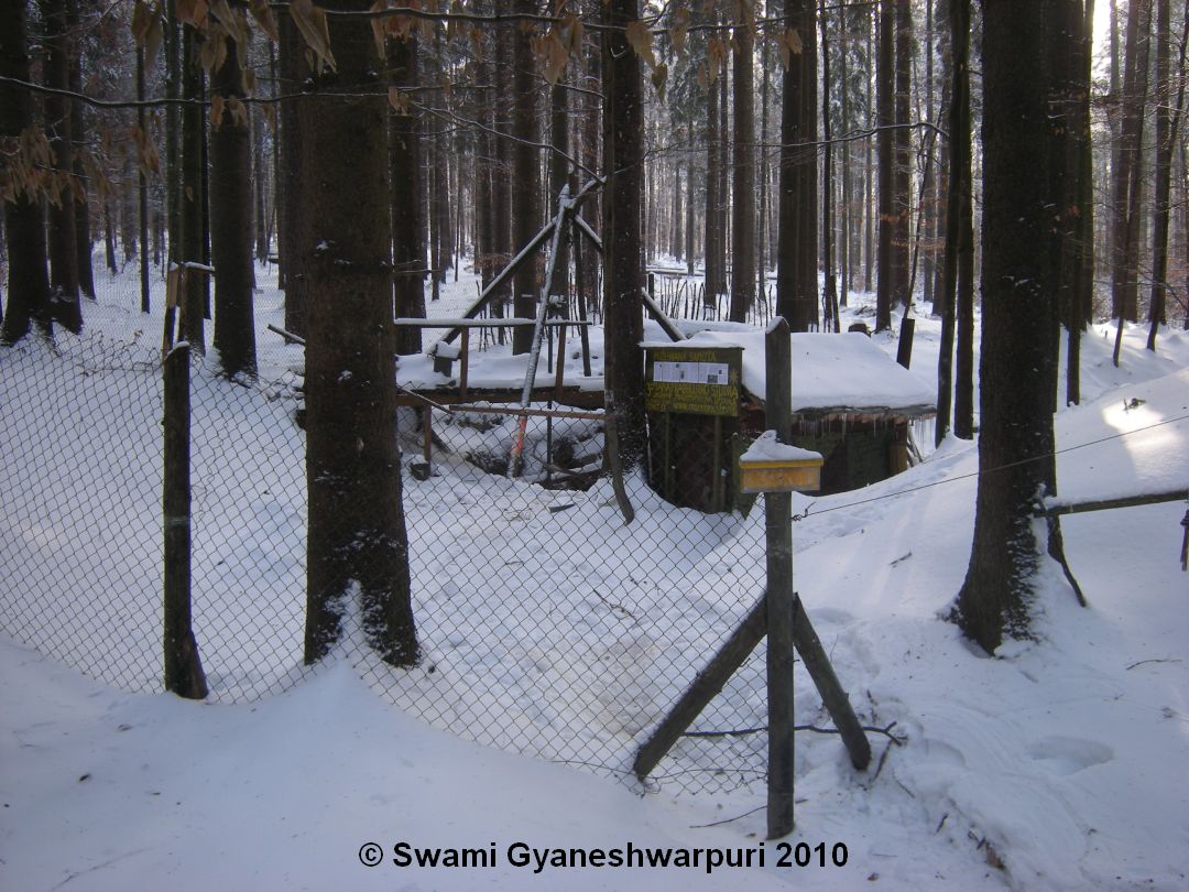 Děravka 2010.