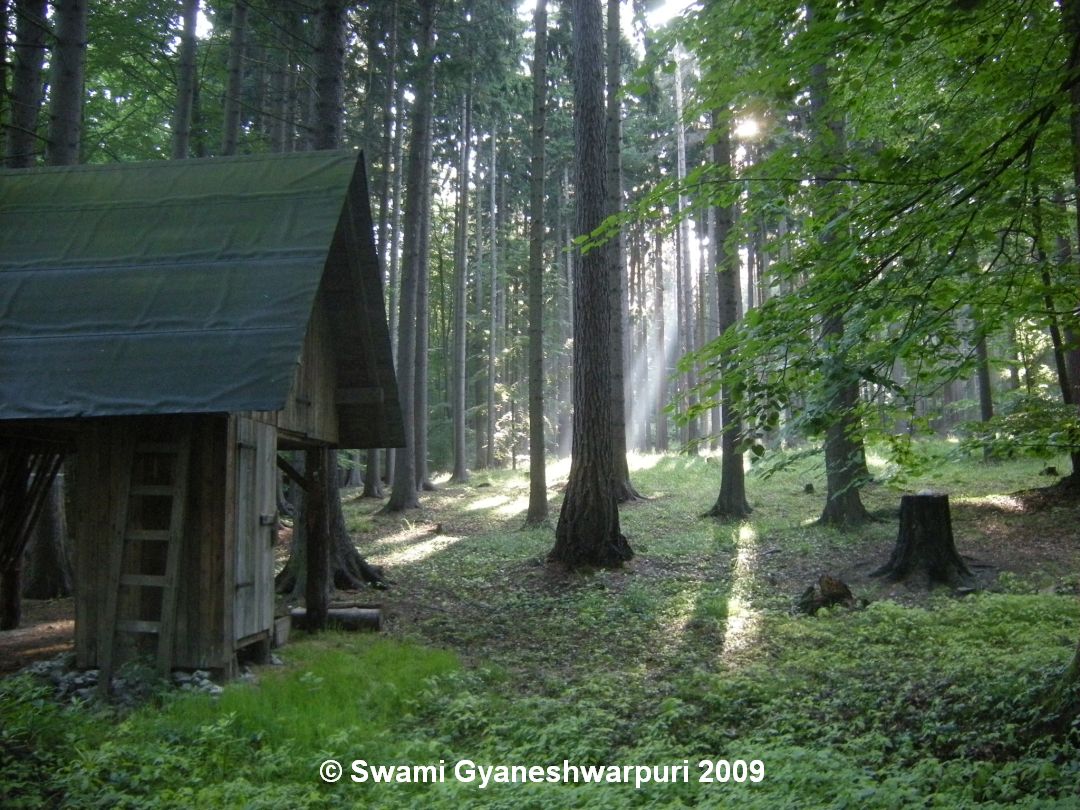 Seník v lesní traťi Chvalkov, o nějž jsem pečoval (2009).