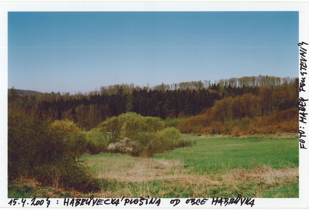 Ponorné údolíčko s Habrůveckýcm ponorem pod Habrůvkou (asi 2005).