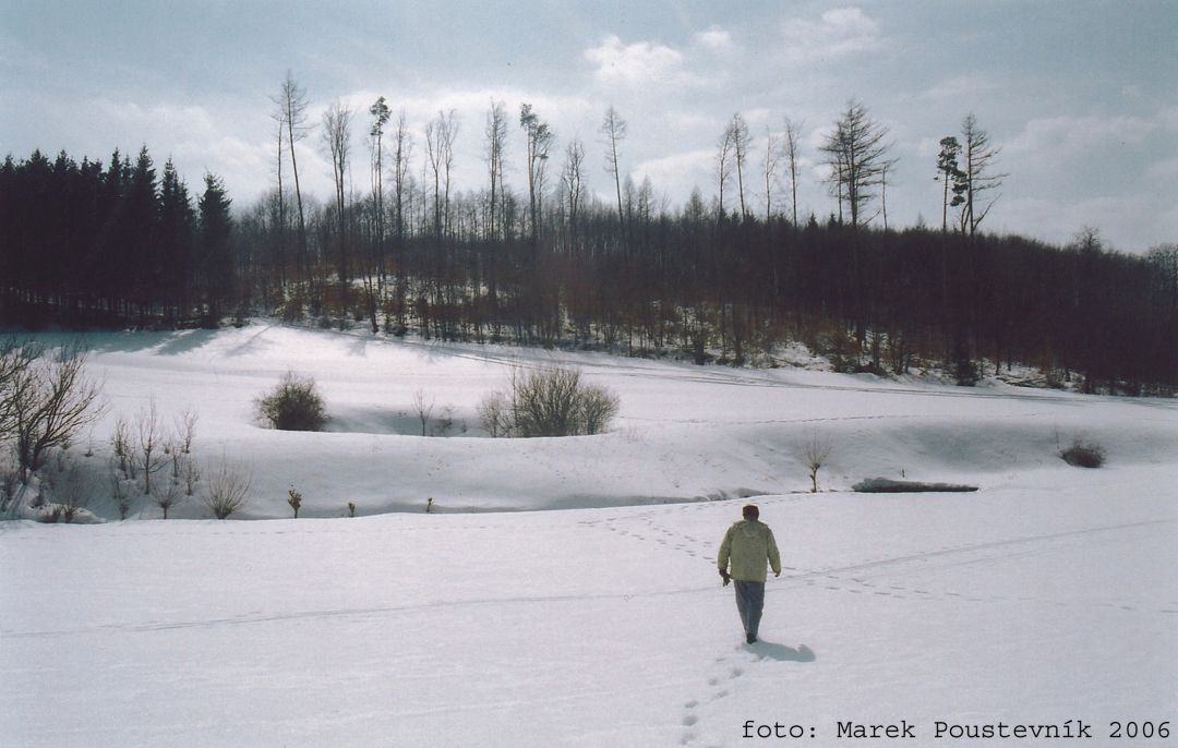 Na akumulační terase u Habrůveckého ponoru je zřetelný prořícený "Překrásný závrt" (2006).