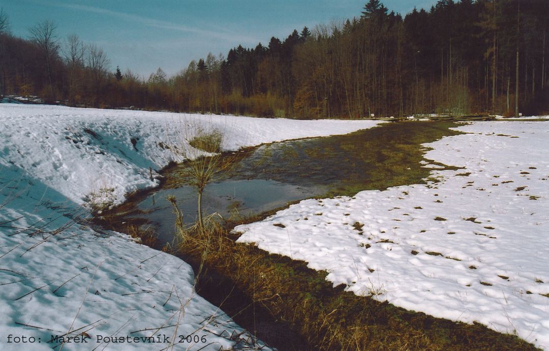 Na jaře 2006 byl Habrůvecký ponor zahlcen a voda od něj odtékala do Úzkého Příhonu (2006).
