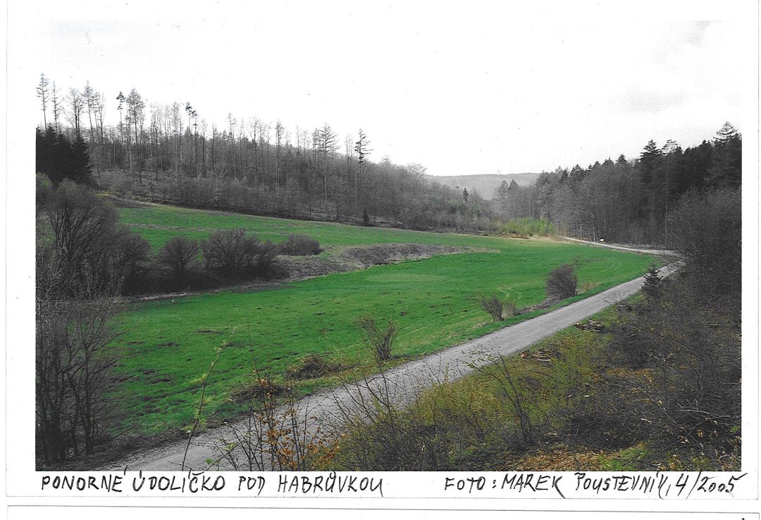 Ponorné údolíčko pod Habrůvkou s Habrůveckým ponorem (2005).
