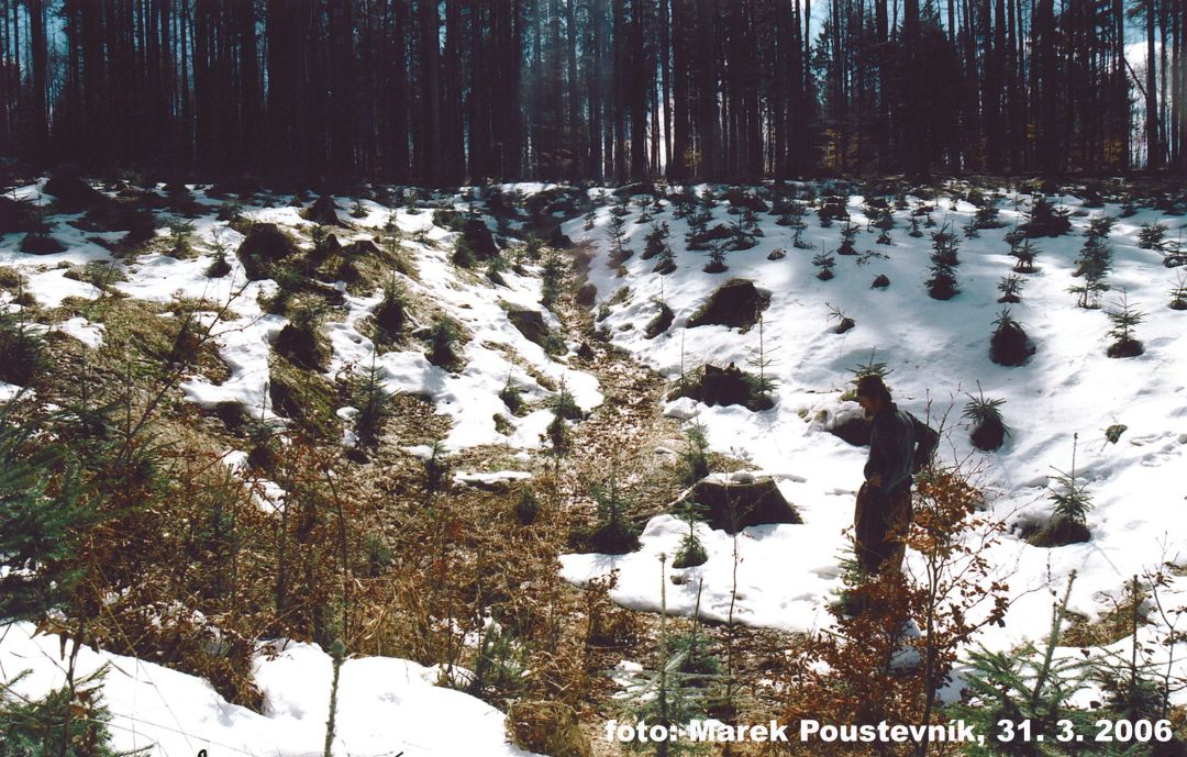 Dominantní Závrt v Průbě (2006).