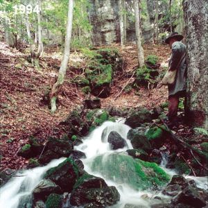 1994